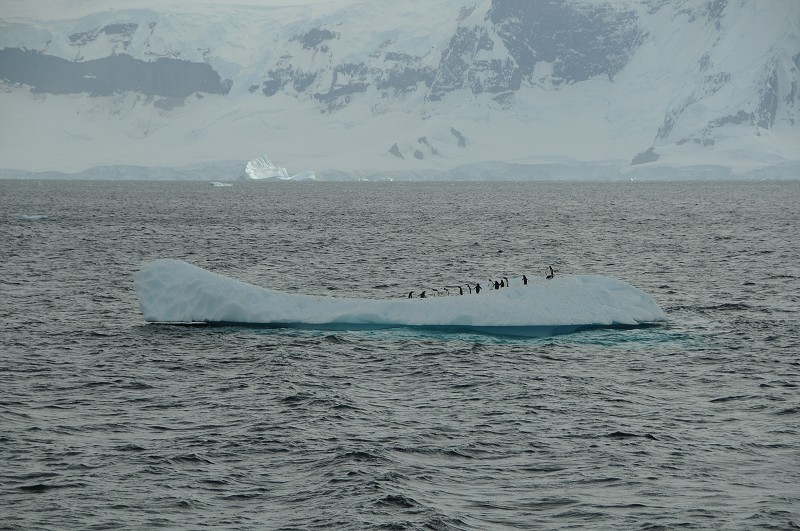 Antarktida / Antarctica (En)