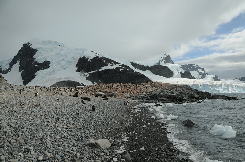 Antarktida / Antarctica (En)