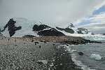 antarctic summer