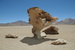 Árbol de Piedra - Altiplano, Bolivia