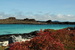 Incredible Galapagos