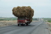 Transport of Sugar Cane - Panamericana, Northern Peru