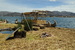 Uros islands - Lago de Titicaca, Peru