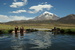Termal Bath - Bolivian Altiplano