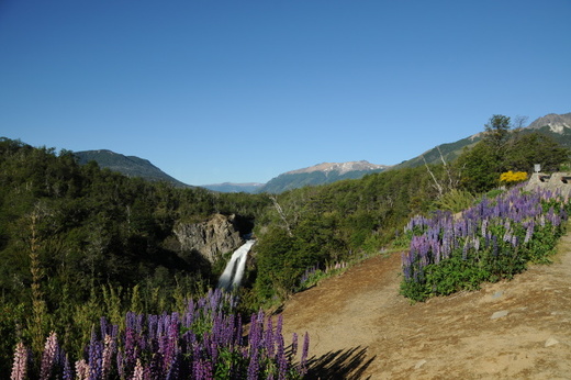 South America 2009/2010