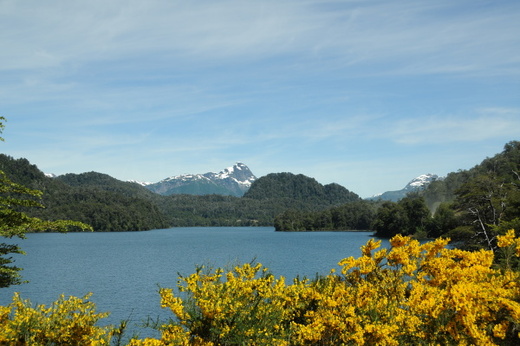 South America 2009/2010