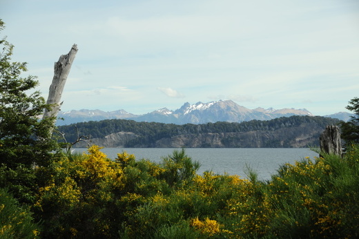 South America 2009/2010
