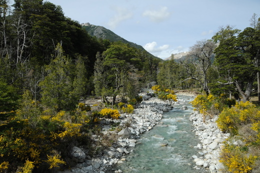 South America 2009/2010