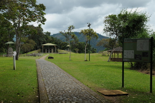 South America 2009/2010