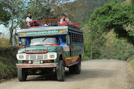 South America 2009/2010