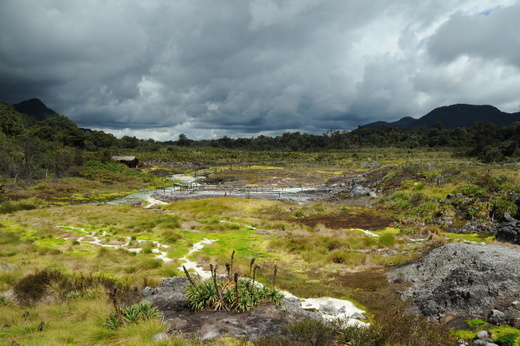 South America 2009/2010