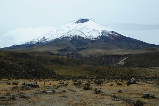 South America 2009/2010