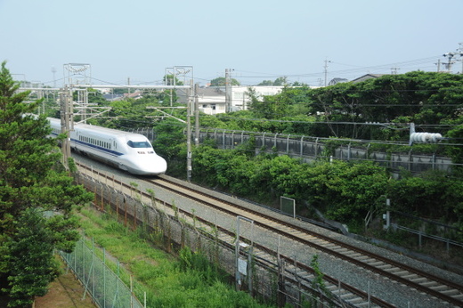 Japan & Korea 2010