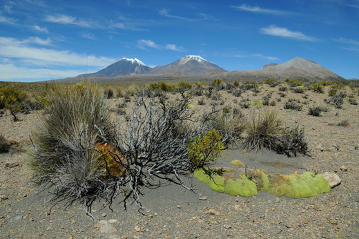 South America 2009/2010